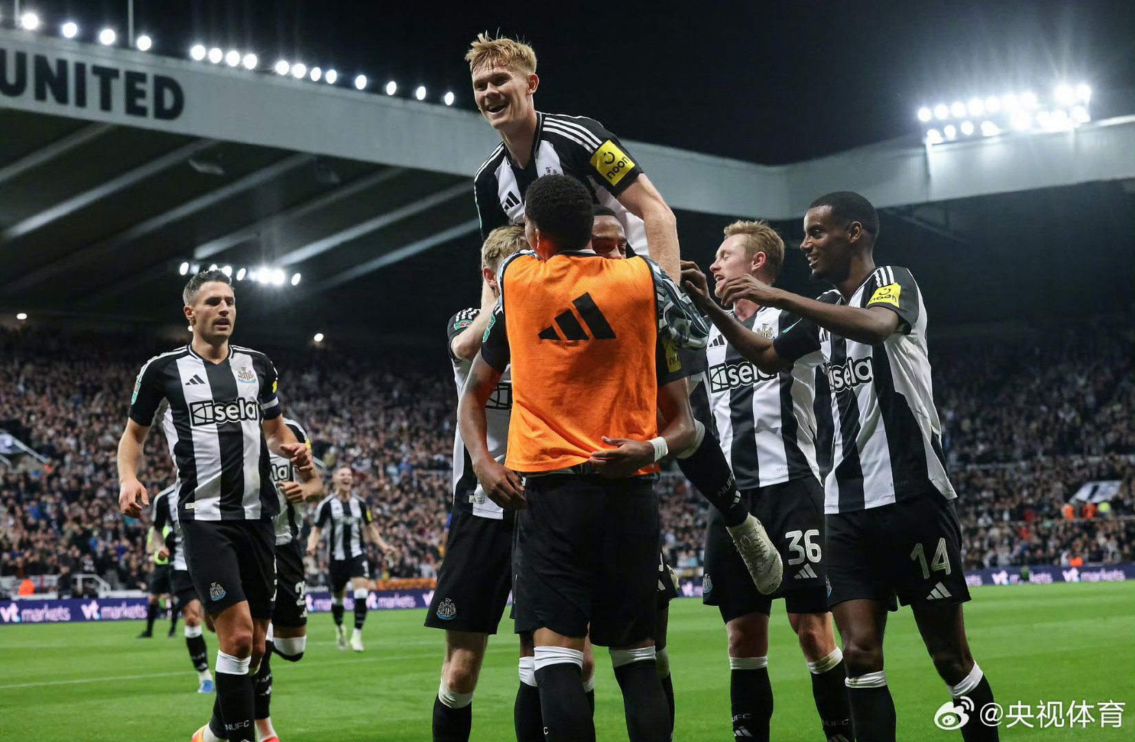 纽特尔姆后卫受伤，球队后防或将面临危机的简单介绍