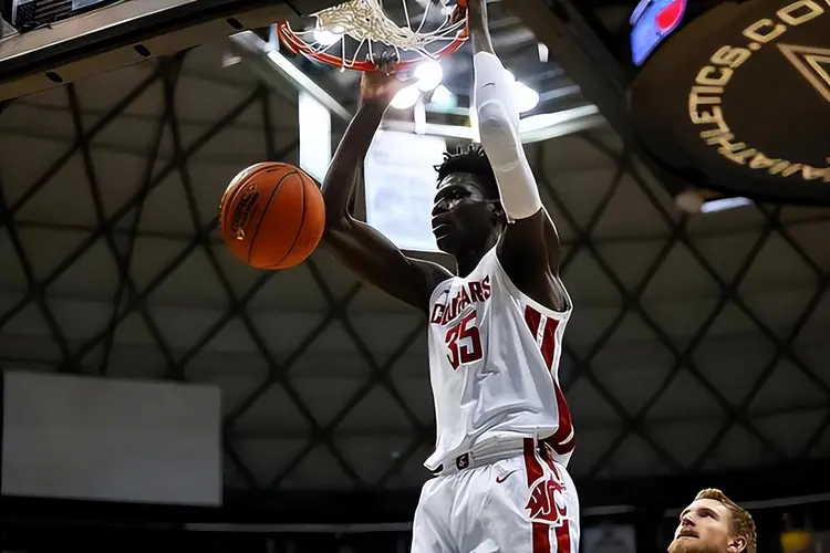 包含澳洲联赛球队战术调整，内线外线结合攻守兼具的词条