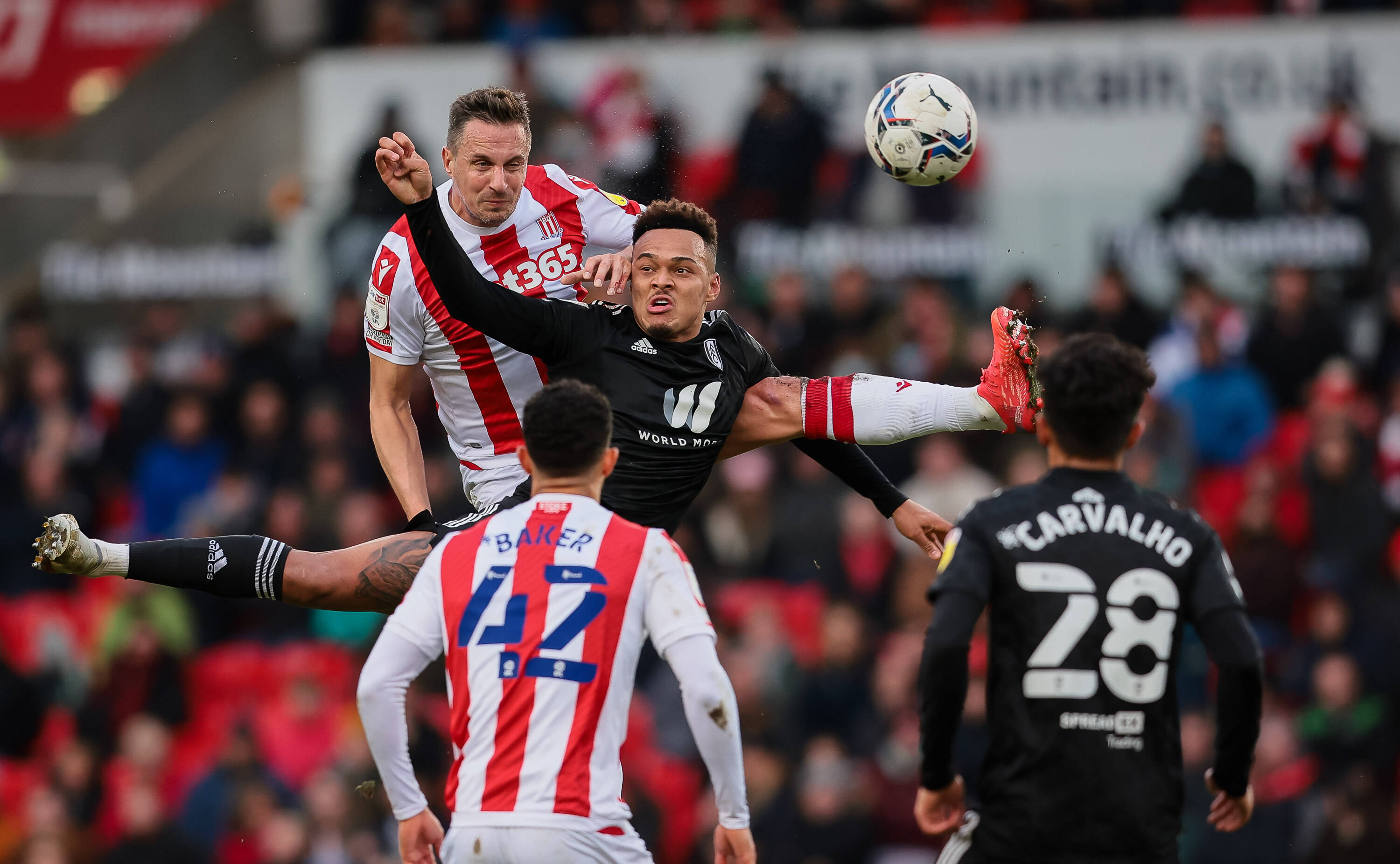 包含哈德斯菲尔德主场失利,提前降级的压力增加的词条 包含哈德斯菲尔德主场失利,提前降级的压力增加的词条