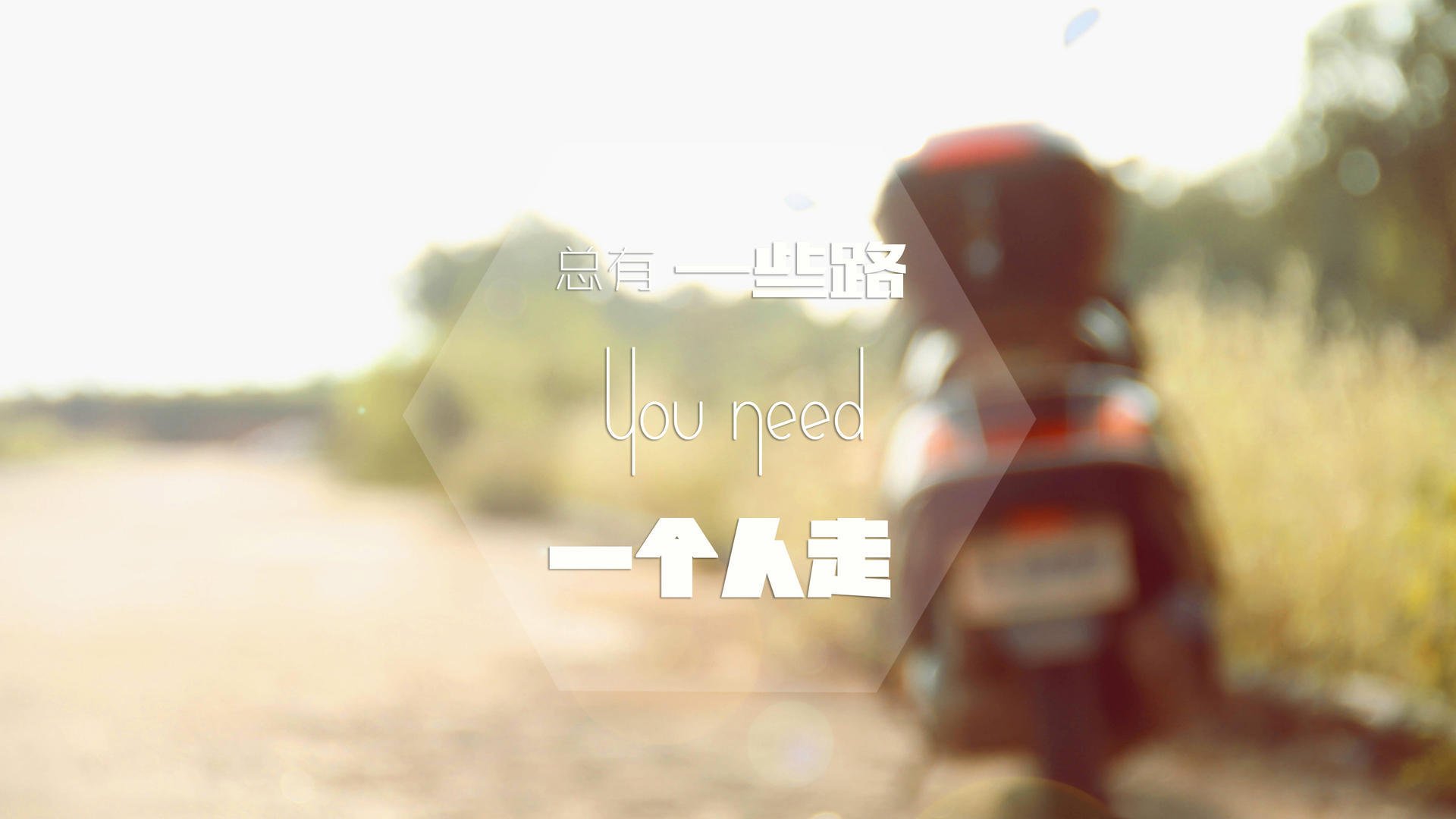 范弗利特关键先生本色尽显，深圳队力克黄蜂迎振奋胜利