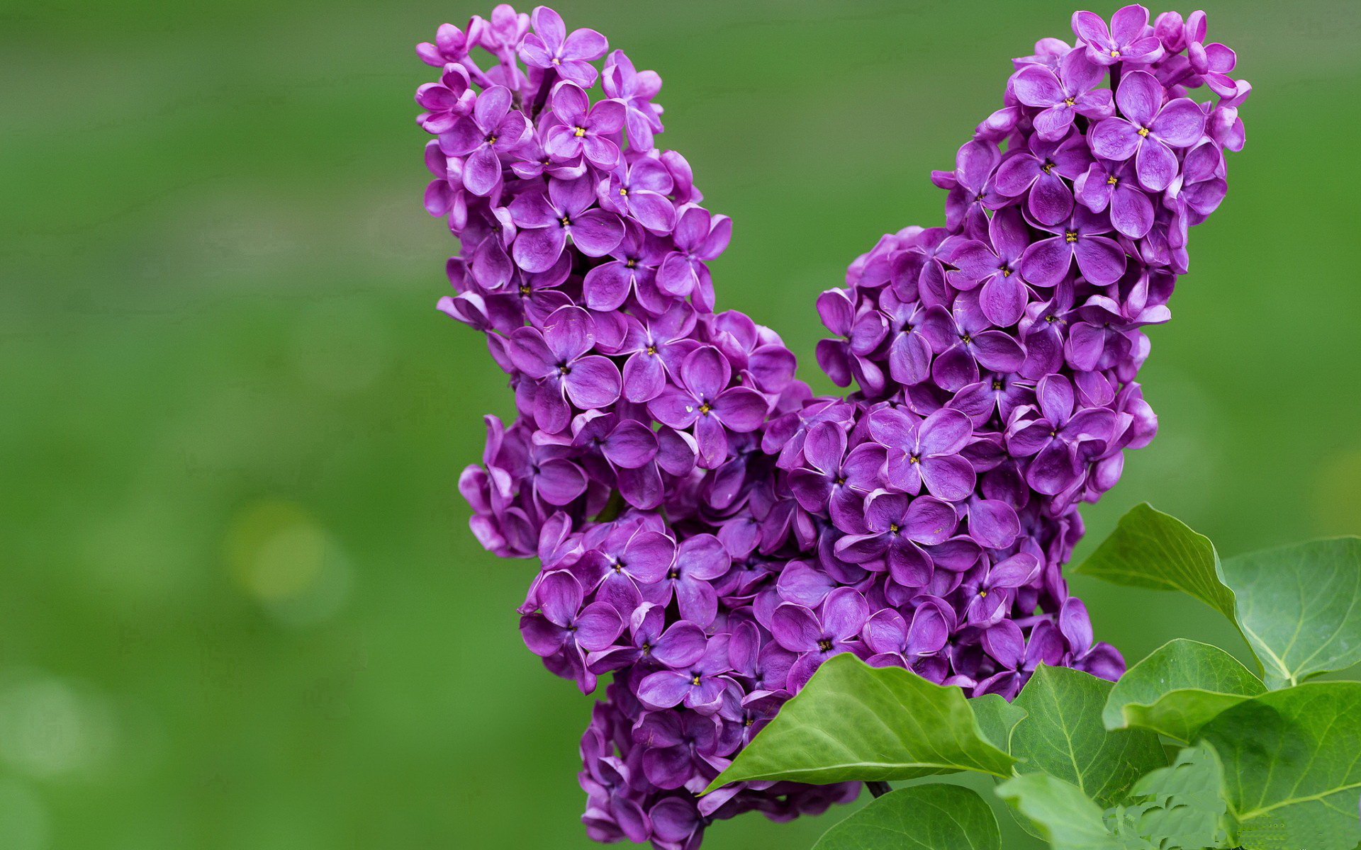 西甲国家德比焦点战，浙江队节奏掌控步行者的跨领域启示