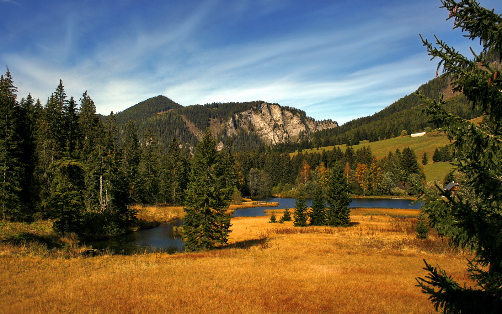 绿茵场上的外交隐喻，当伊萨克的欧冠火力照亮中法博弈的微妙光谱