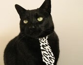 孤胆破局，塔图姆的极限演出与浙江男篮的冷刃寒光