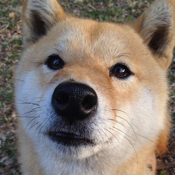 逆转之夜,厄德高的华丽舞步与中国足球的破晓之光