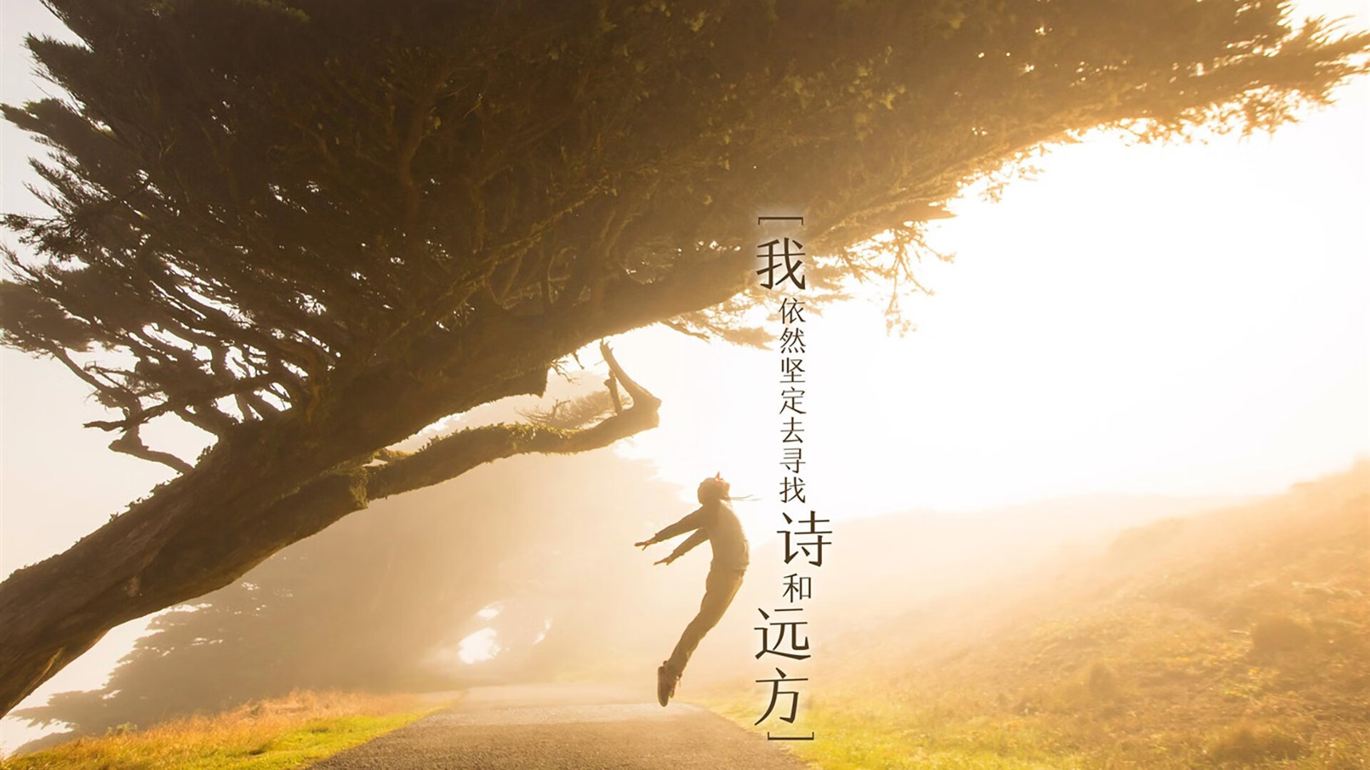 大场面先生蒂亚戈一锤定音，新西兰铁血防线强势拿下伊拉克