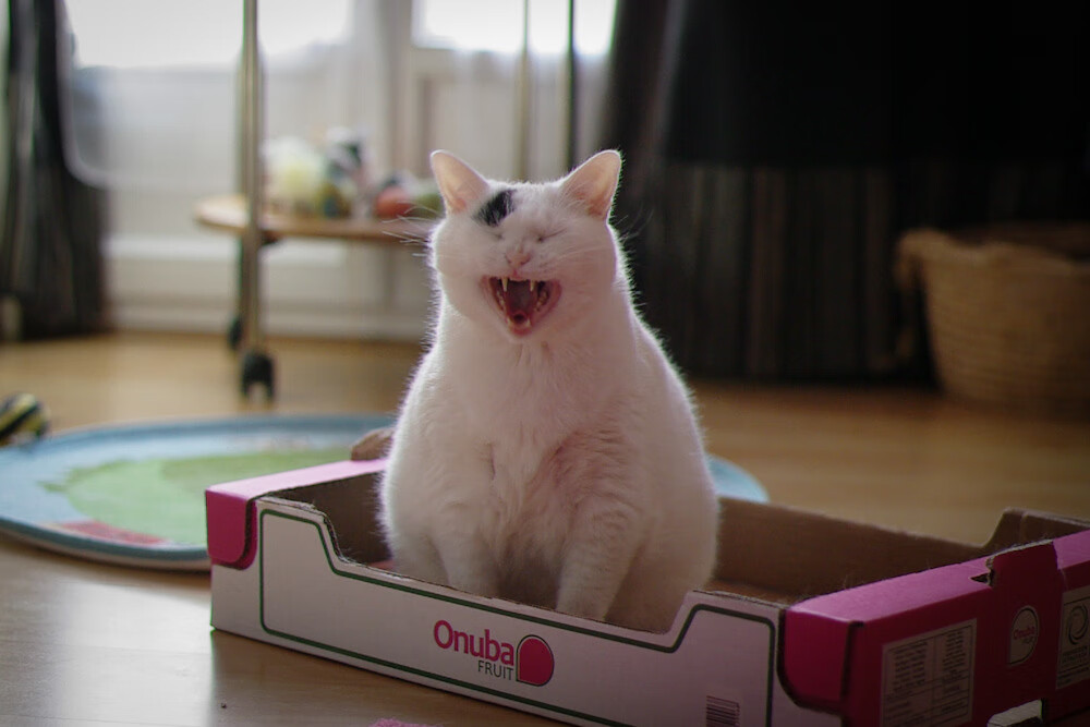 小贾伦一剑封喉！奇才奇兵天降碾碎太阳争冠梦