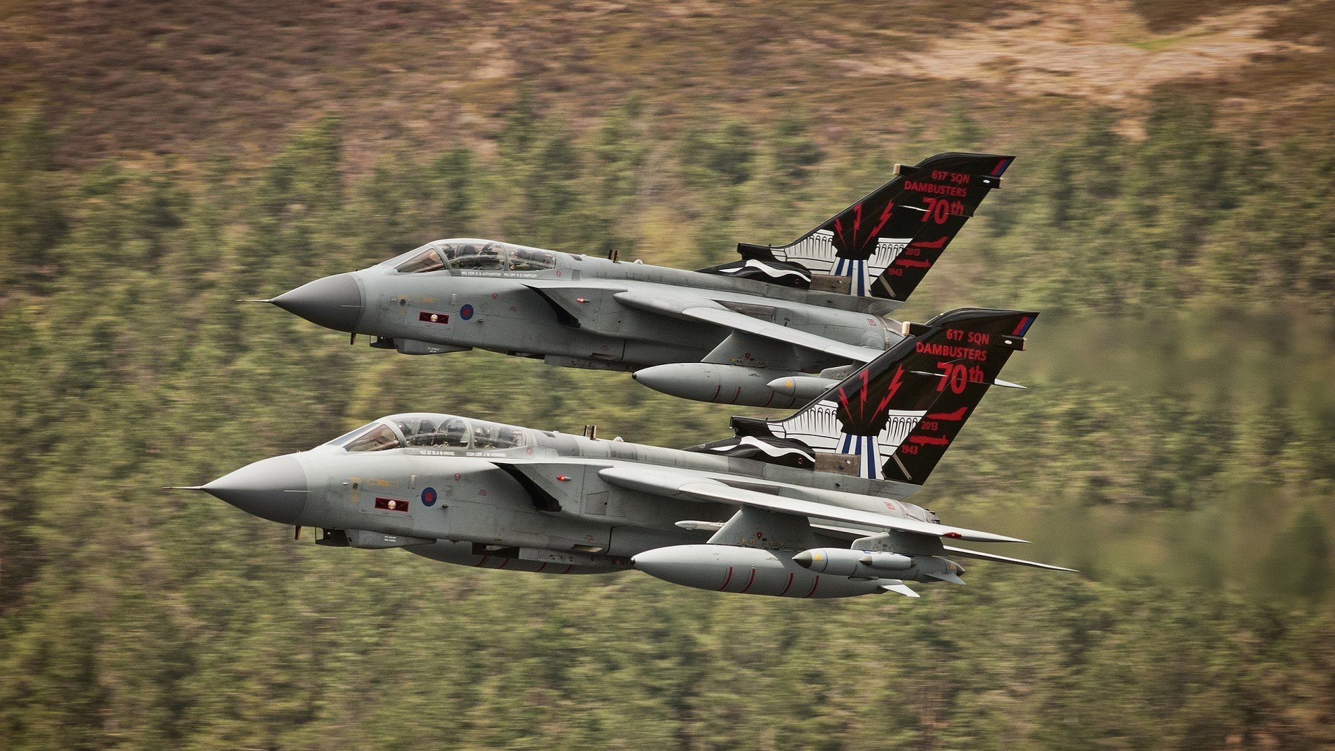 多特蒙德友谊赛速胜韩国队，新星帕尔默关键先生闪耀全场